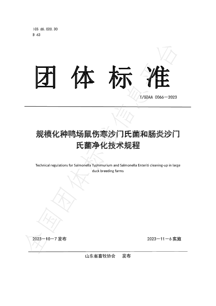 T/SDAA 0066-2023 标准预览