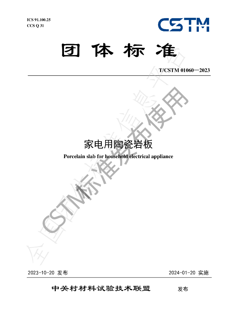 T/CSTM 01060-2023 标准预览