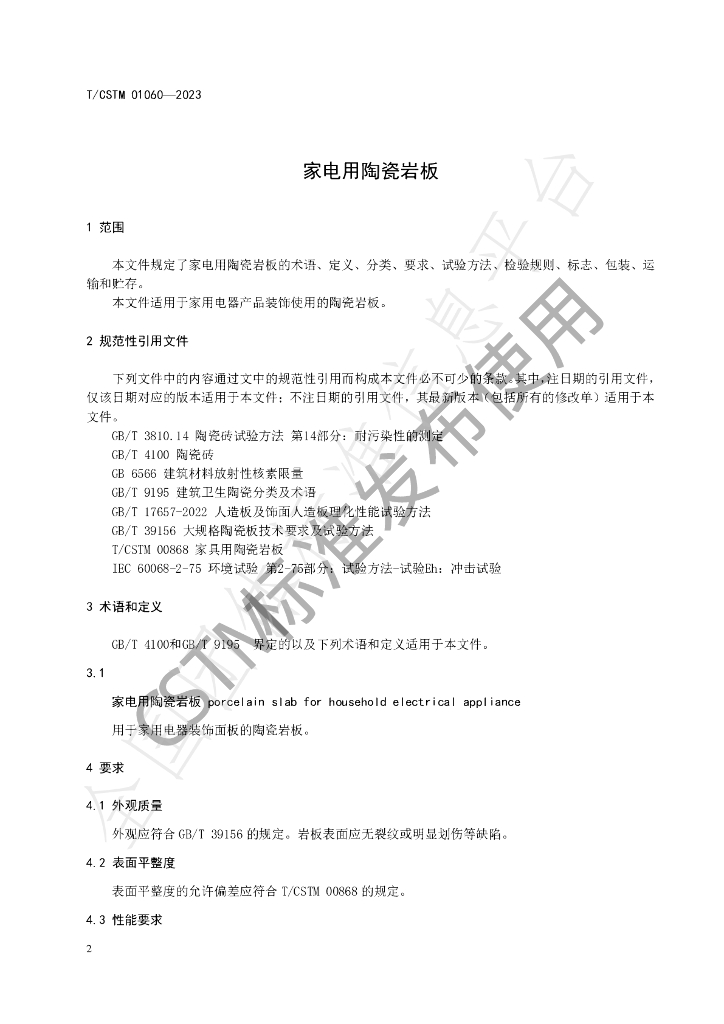 T/CSTM 01060-2023 标准预览