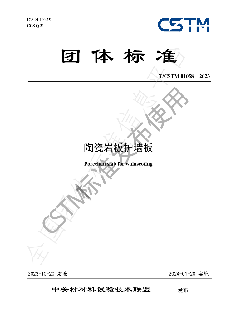 T/CSTM 01058-2023 标准预览
