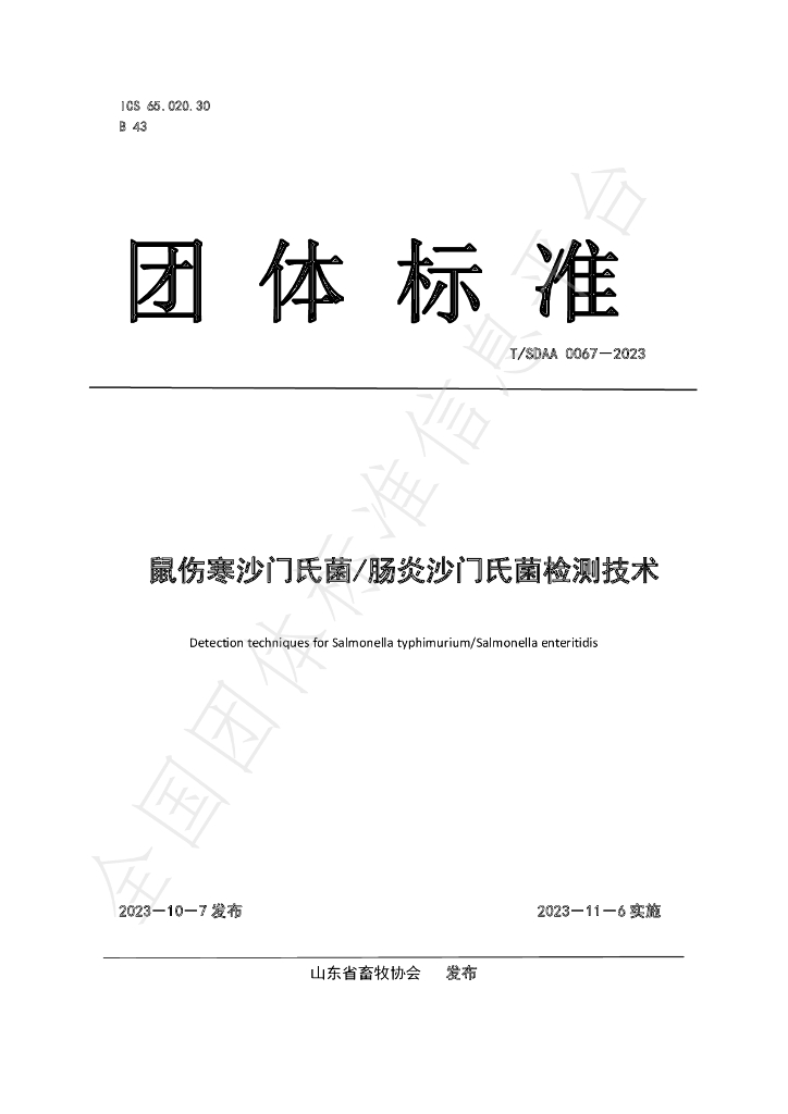 T/SDAA 0067-2023 标准预览
