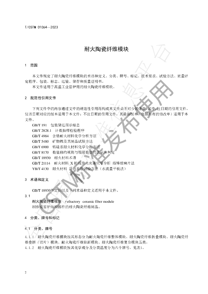 T/CSTM 01064-2023 标准预览