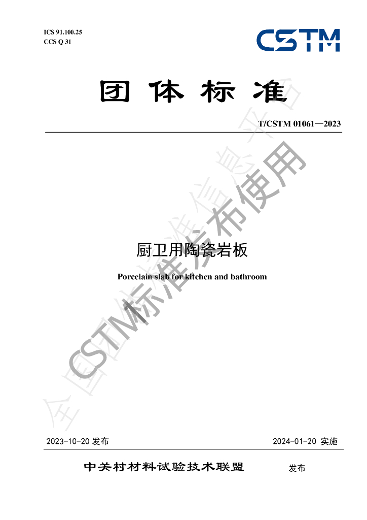 T/CSTM 01061-2023 标准预览