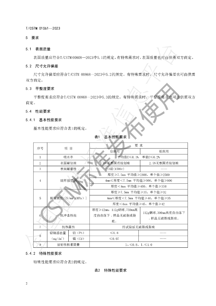 T/CSTM 01061-2023 标准预览