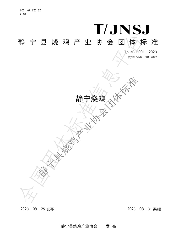 T/JNSJ 001-2023 标准预览