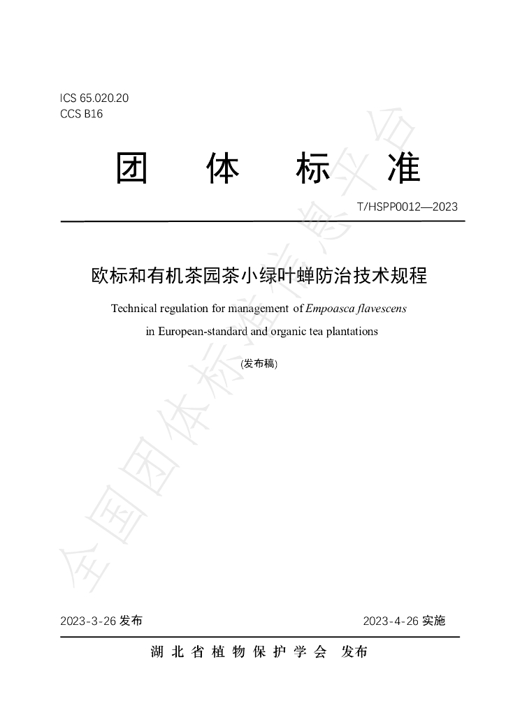 T/HSPP 0012-2023 标准预览