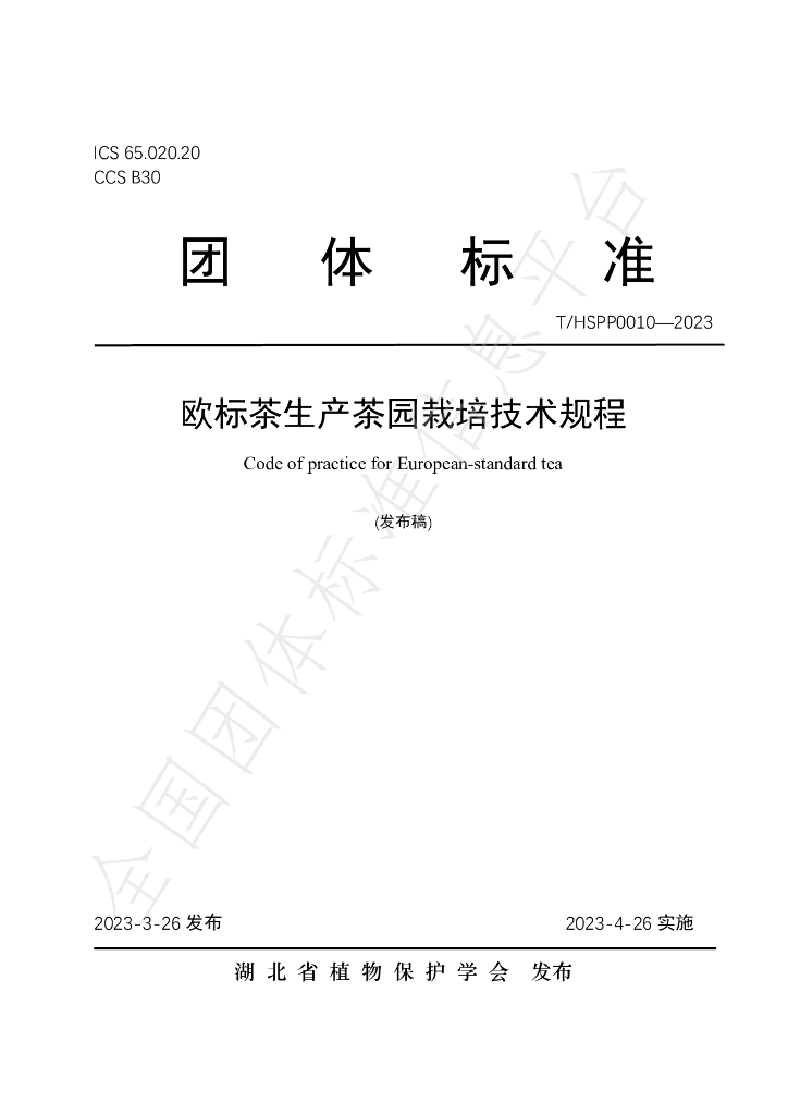 T/HSPP 0010-2023 标准预览
