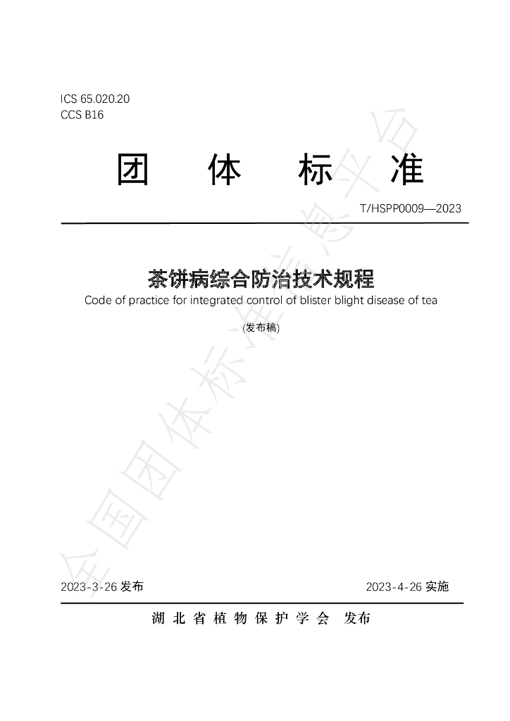 T/HSPP 0009-2023 标准预览