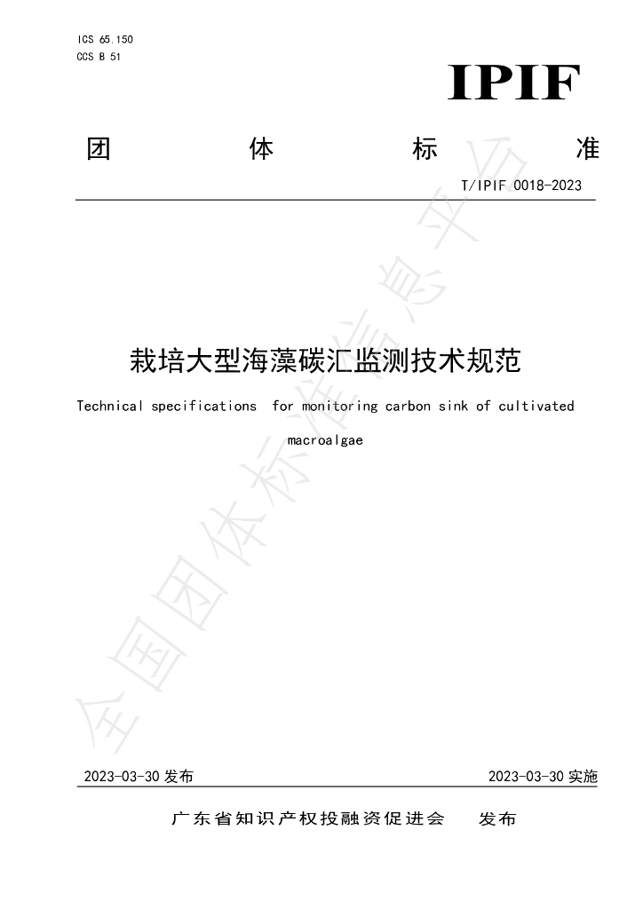 T/IPIF 0018-2023 标准预览