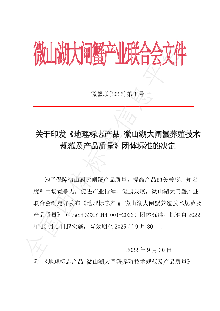 T/WSHDZXCYLHH 001-2022 标准预览