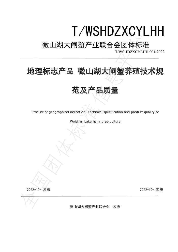 T/WSHDZXCYLHH 001-2022 标准预览