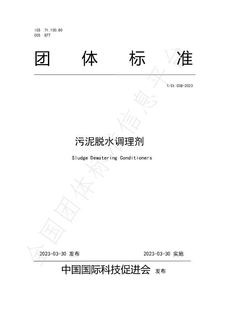 T/CI 038-2023 标准预览