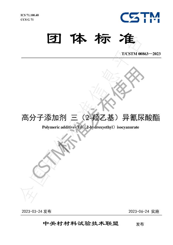 T/CSTM 00863-2023 标准预览