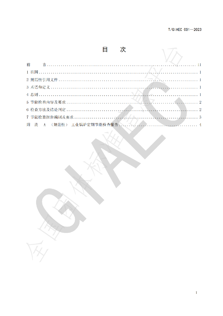 T/GIAEC 001-2023 标准预览