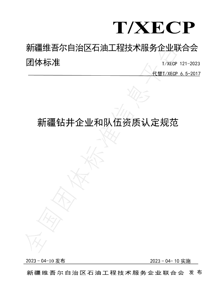 T/XECP 121-2023 标准预览