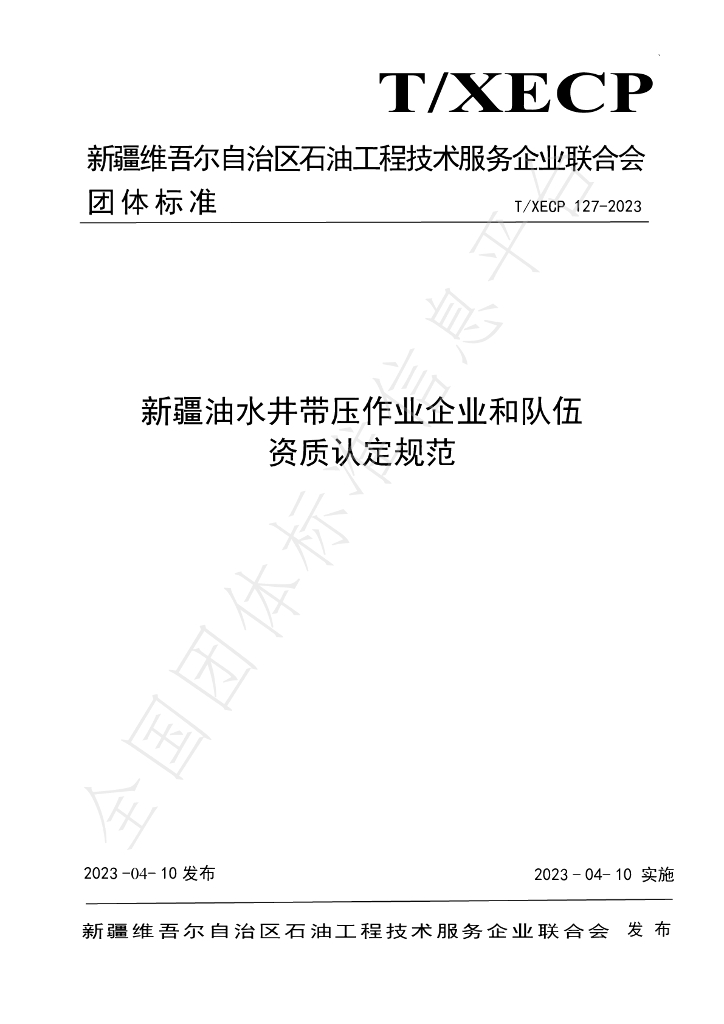 T/XECP 127-2023 标准预览
