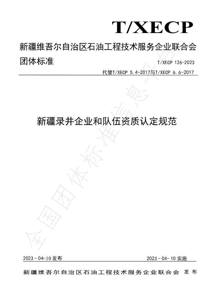 T/XECP 126-2023 标准预览