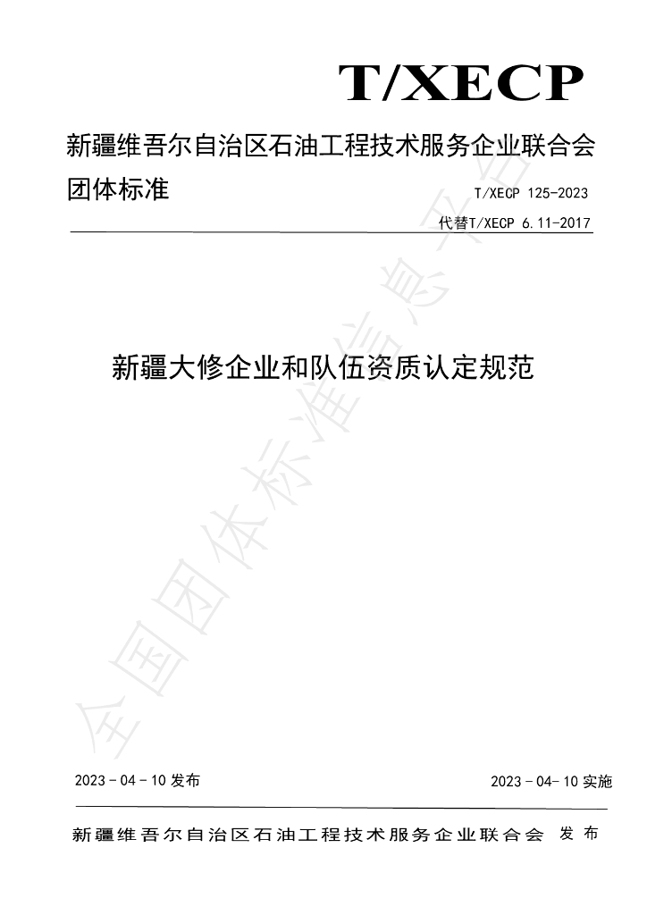 T/XECP 125-2023 标准预览