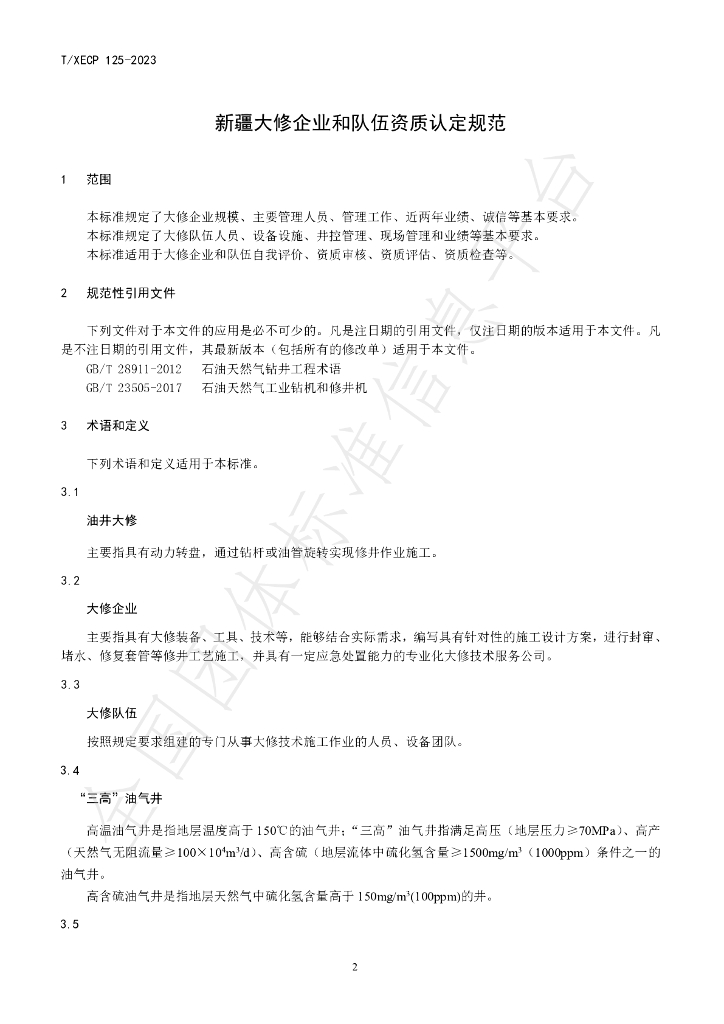 T/XECP 125-2023 标准预览