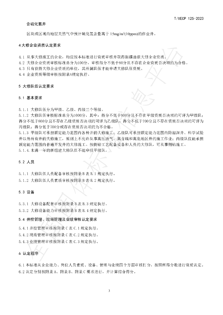 T/XECP 125-2023 标准预览