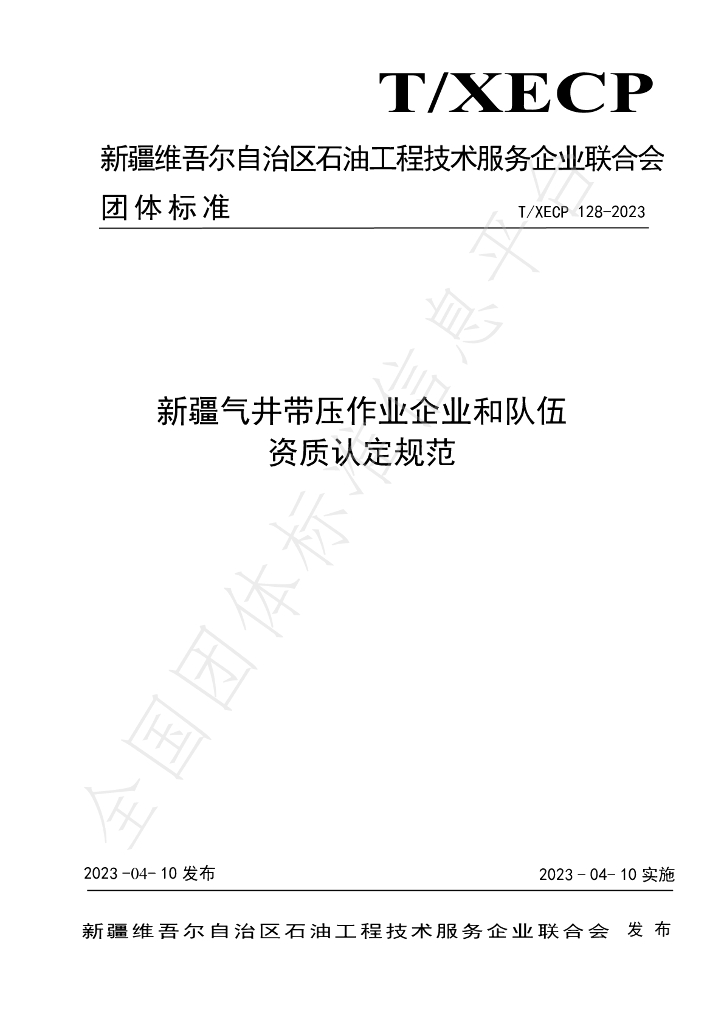 T/XECP 128-2023 标准预览