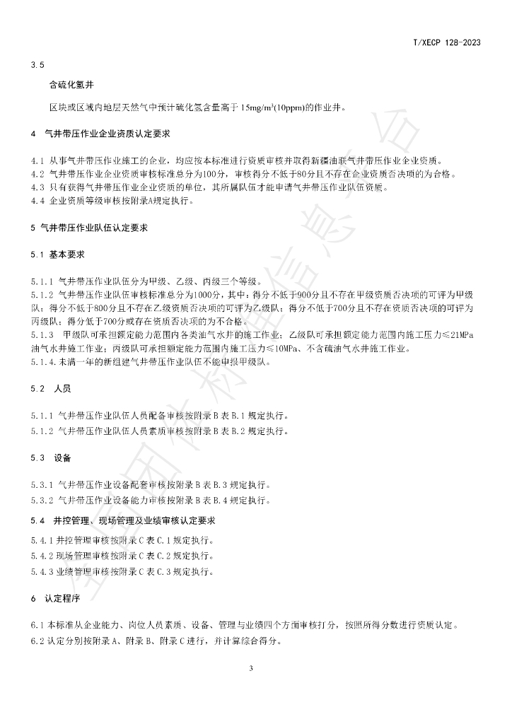 T/XECP 128-2023 标准预览