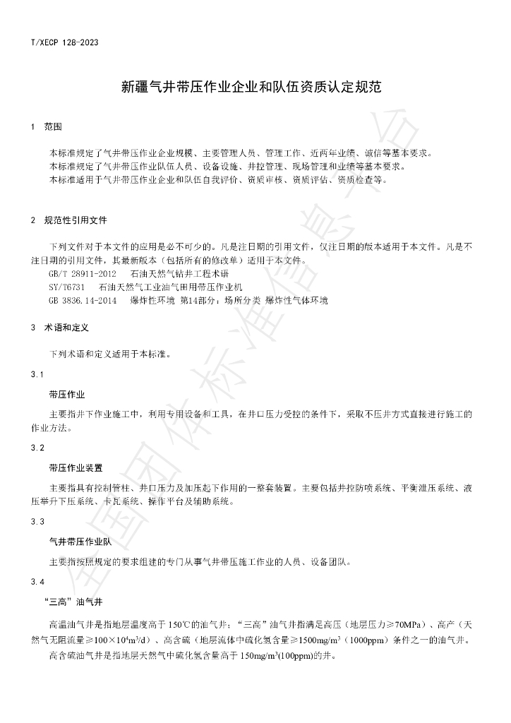 T/XECP 128-2023 标准预览