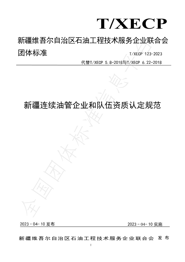 T/XECP 123-2023 标准预览