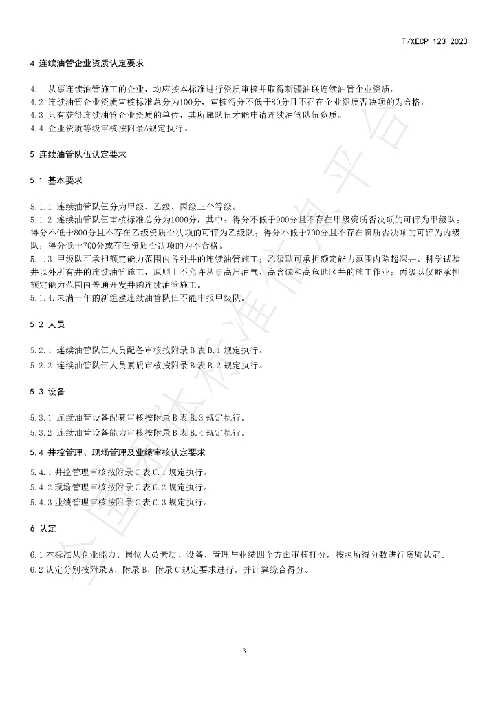 T/XECP 123-2023 标准预览