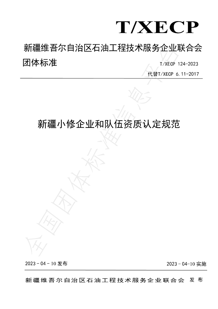 T/XECP 124-2023 标准预览