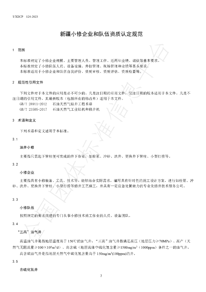 T/XECP 124-2023 标准预览