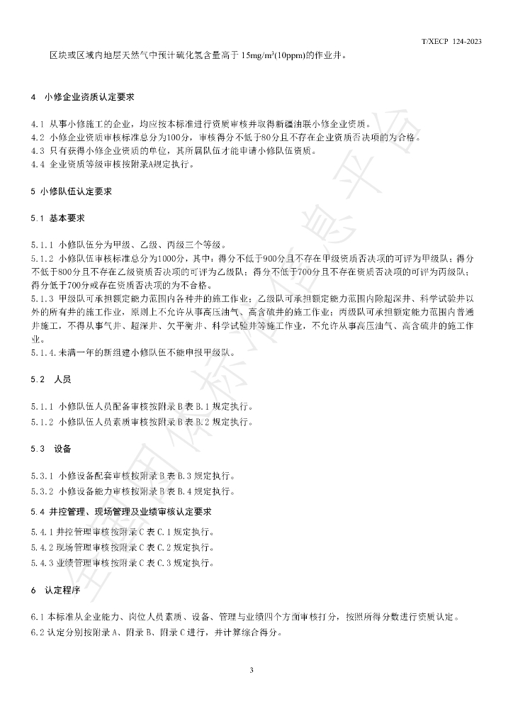 T/XECP 124-2023 标准预览