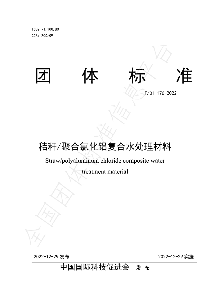 T/CI 176-2022 标准预览