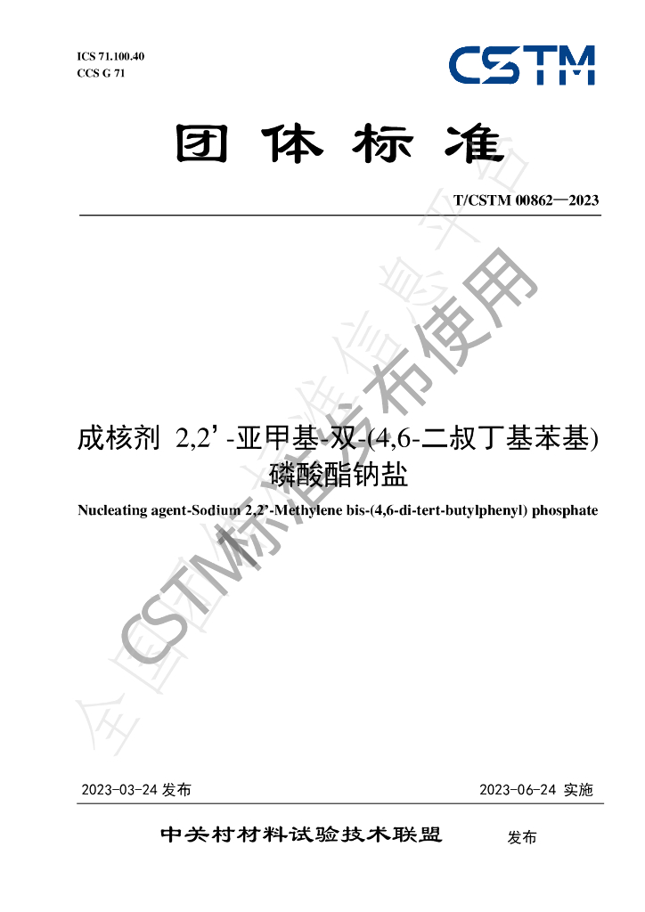 T/CSTM 00862-2023 标准预览