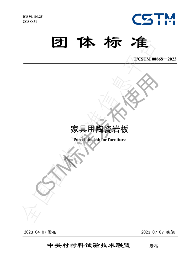 T/CSTM 00868-2023 标准预览