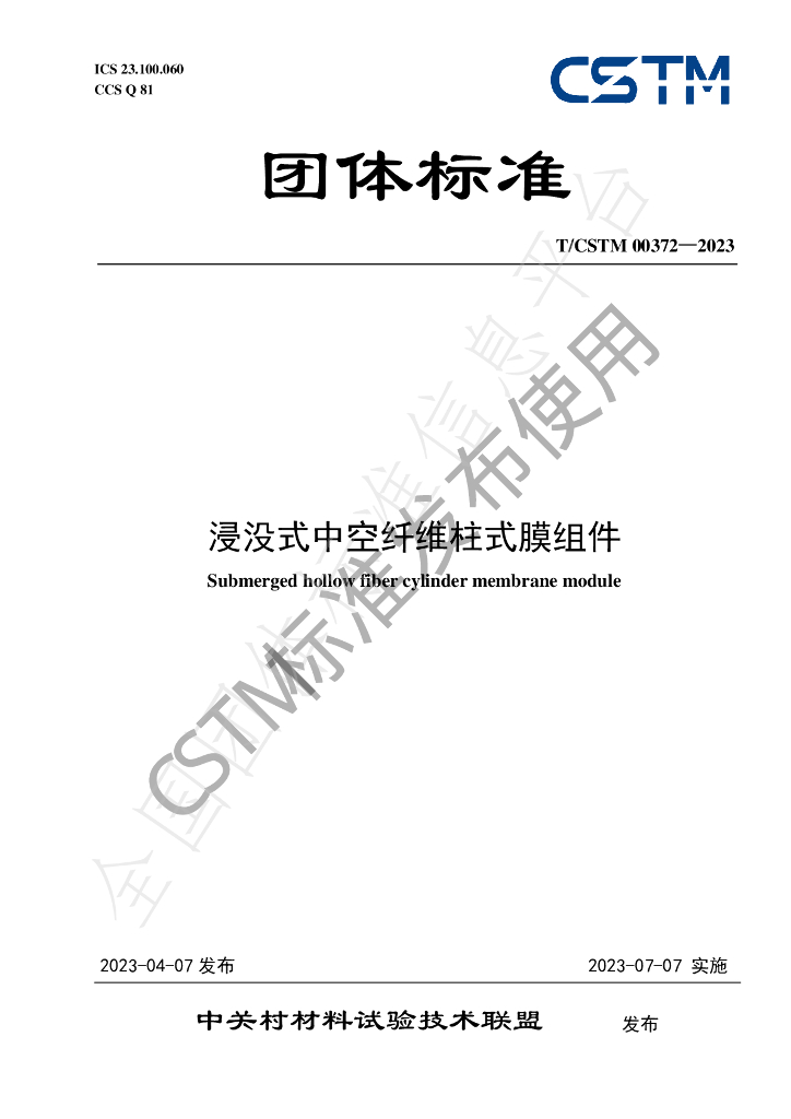 T/CSTM 00372-2023 标准预览