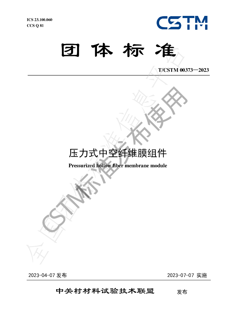 T/CSTM 00373-2023 标准预览