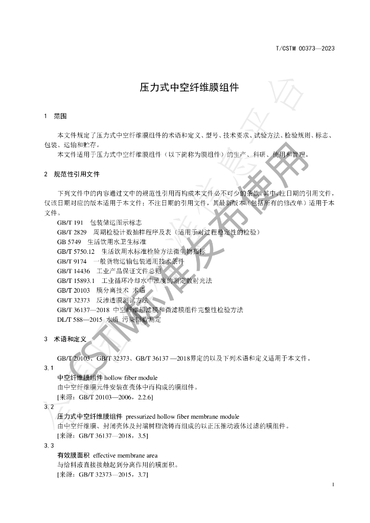 T/CSTM 00373-2023 标准预览