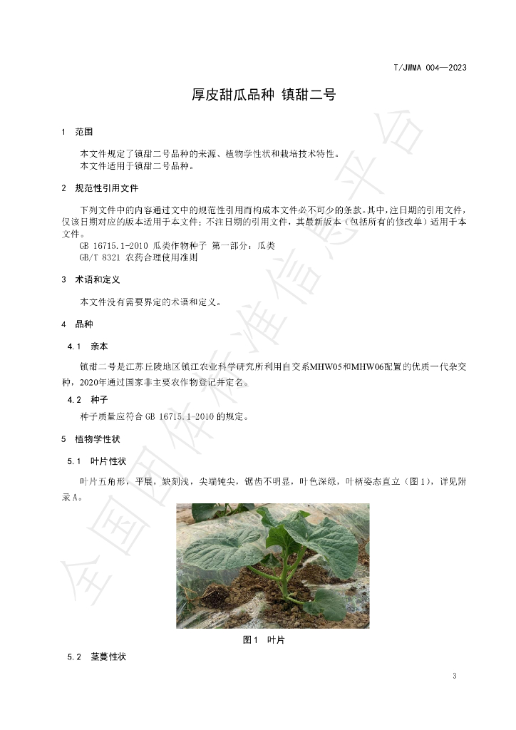 T/JWMA 004-2023 标准预览