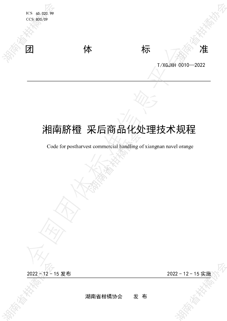 T/HNSGJXH 0010-2022 标准预览