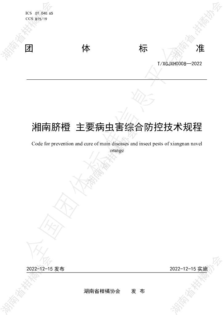 T/HNSGJXH 0008-2022 标准预览