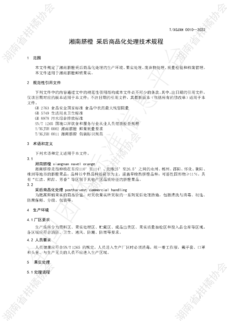 T/HNSGJXH 0010-2022 标准预览