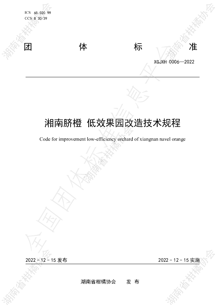 T/HNSGJXH 0006-2022 标准预览