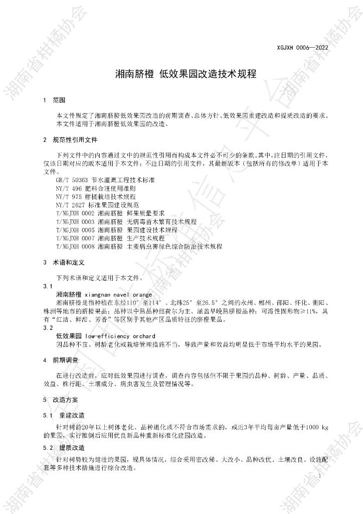 T/HNSGJXH 0006-2022 标准预览