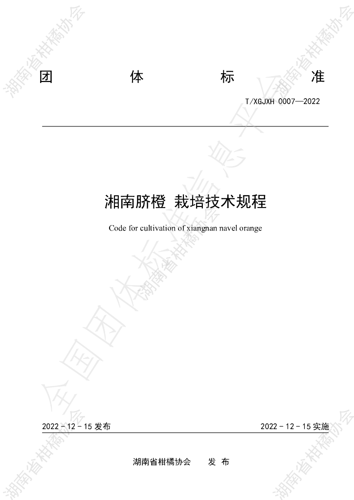 T/HNSGJXH 0007-2022 标准预览