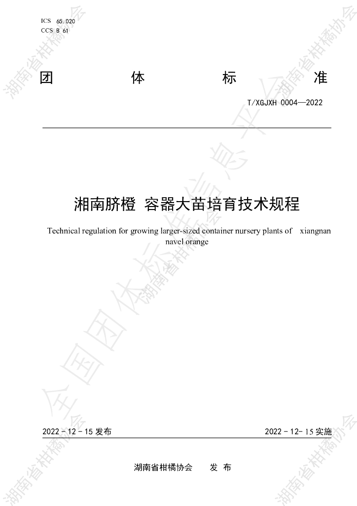 T/HNSGJXH 0004-2022 标准预览