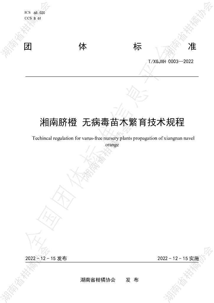T/HNSGJXH 0003-2022 标准预览