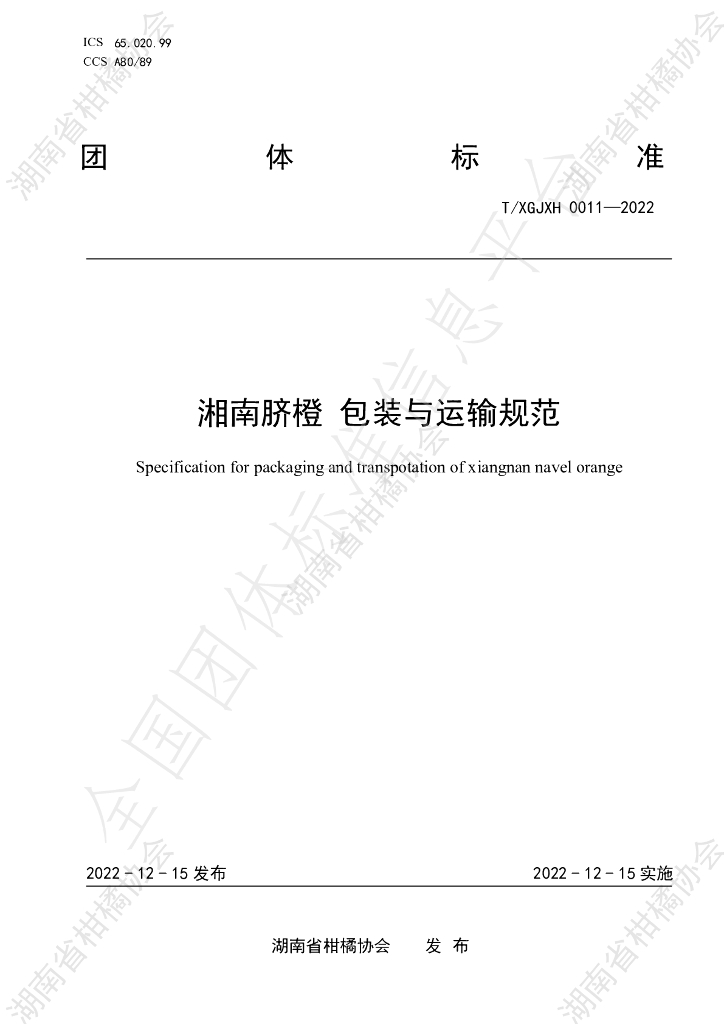 T/HNSGJXH 0011-2022 标准预览