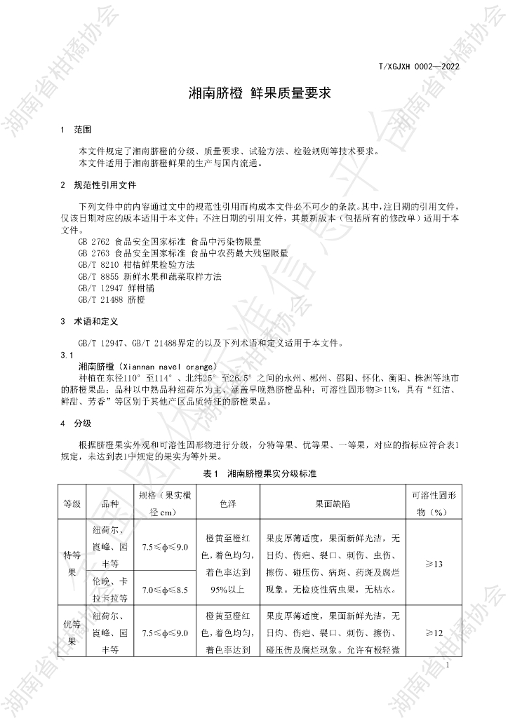 T/HNSGJXH 0002-2022 标准预览