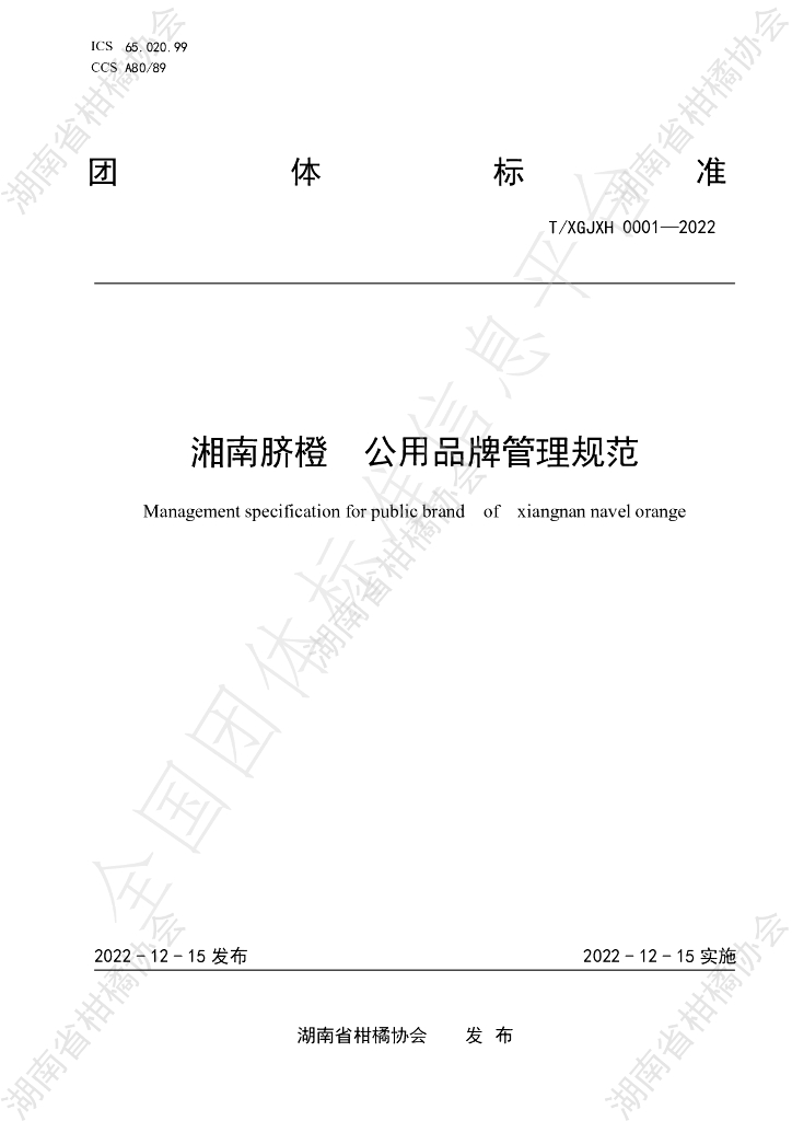 T/HNSGJXH 0001-2022 标准预览
